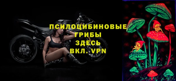 прущая мука Переславль-Залесский