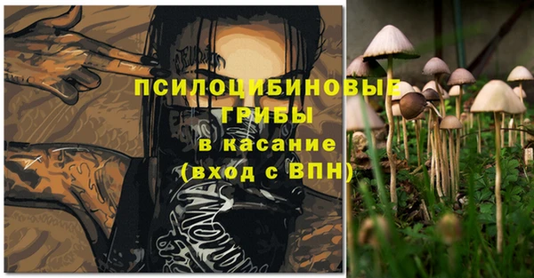 прущая мука Переславль-Залесский