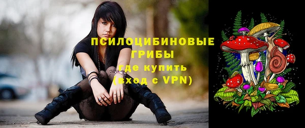 прущая мука Переславль-Залесский