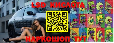 гашик Новодвинск