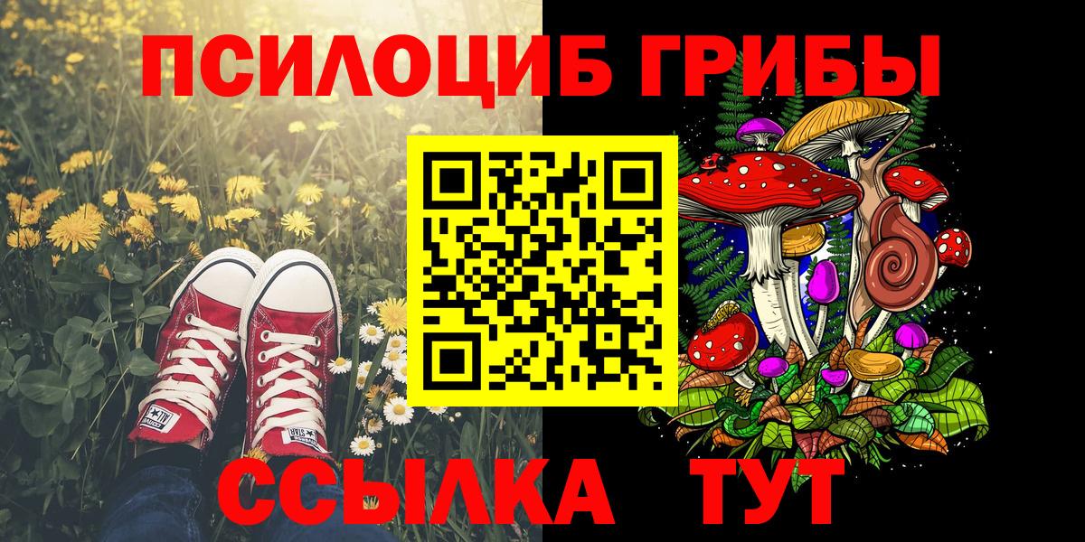 Псилоцибиновые грибы MAGIC MUSHROOMS  Вход с VPN  Североморск 
