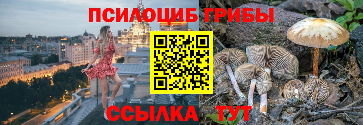 Псилоцибиновые грибы MAGIC MUSHROOMS Североморск